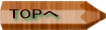 TOP�� 