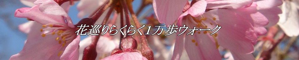 四季の鎌倉自然散策